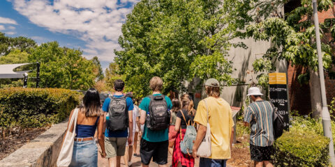 Group of students walking away from camera